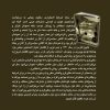 هویت سلفی