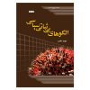 الگوهای بی‌ثباتی سیاسی
